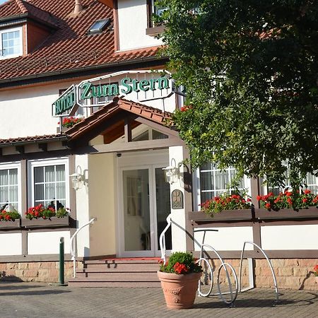 Parkhotel Zum Stern Oberaula Exterior foto